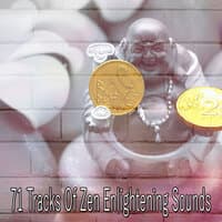 71 Tracks of Zen Enlightening Sounds