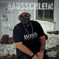 Bau$$chleim