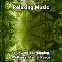 Relaxing Music to Unwind, for Napping, Wellness, Mental Peace