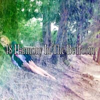 48 Harmony in the Bedroom