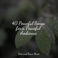 40 Peaceful Songs for a Peaceful Ambience