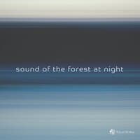 sound of the forest at night