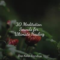 30 Meditation Sounds for Ultimate Healing