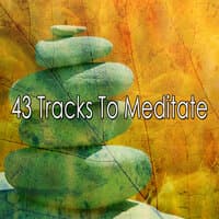 43 Tracks to Meditate