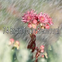 74 Brain Toxin Removal