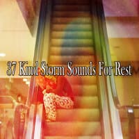 37 Kind Storm Sounds for Rest