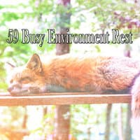 59 Busy Environment Rest