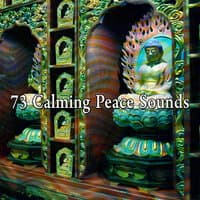 73 Calming Peace Sounds