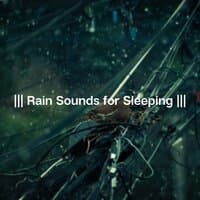 Rain Sounds for Sleeping