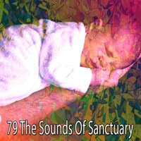 79 The Sounds of Sanctuary