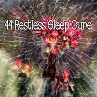 44 Restless Sleep Cure