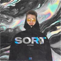 SORT (Prod. by LitGlack)