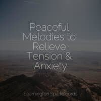 Peaceful Melodies to Relieve Tension & Anxiety