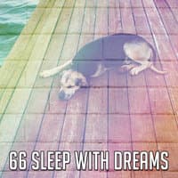 66 Sleep with Dreams