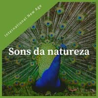 Sons da natureza - música nova era calma