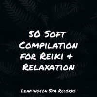 50 Soft Compilation for Reiki & Relaxation