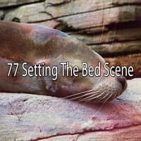 77 Setting the Bed Scene