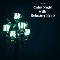 Calm Night with Relaxing Beats