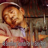 48 Soothing Sounds for an Easy Rest