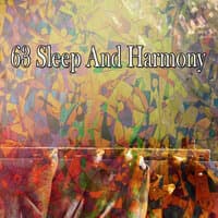 63 Sleep and Harmony