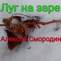 Луг на заре