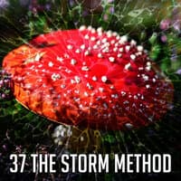 37 The Storm Method