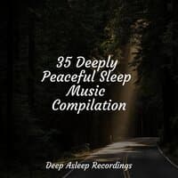 35 Deeply Peaceful Sleep Music Compilation