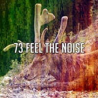 73 Feel the Noise