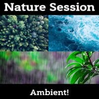 Nature Session - Ocean, Rain, Forest, Nature Sounds