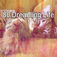 80 Dreaming Life