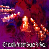 45 Naturally Ambient Sounds for Focus