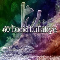 60 Lucid Lullabye