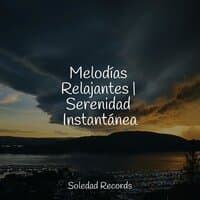 Melodías Relajantes | Serenidad Instantánea