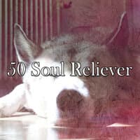 50 Soul Reliever