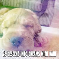 25 Descend into Dreams with Rain