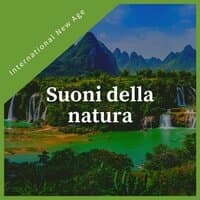 Suoni della natura - Calma musica new age