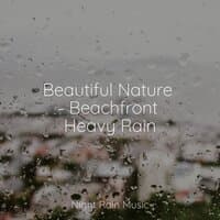 Beautiful Nature - Beachfront Heavy Rain