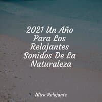 2021 Un Año Para Los Relajantes Sonidos De La Naturaleza