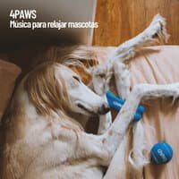 4Paws: Música para relajar mascotas