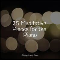 25 Meditative Pieces for the Piano