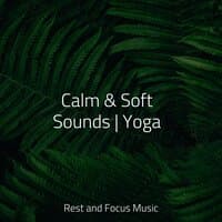 Calm & Soft Sounds | Yoga