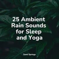 25 Ambient Rain Sounds for Sleep and Yoga