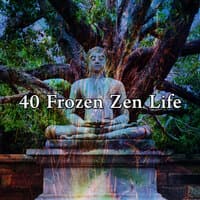 40 Frozen Zen Life