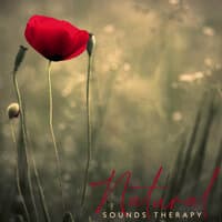 Natural Sounds Therapy – Fight with Fears and PTSD with Help of EMDR Therapy