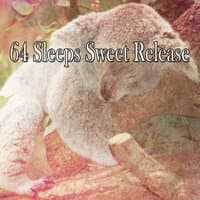 64 Sleeps Sweet Release