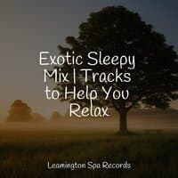 Exotic Sleepy Mix | Tracks to Help You Relax