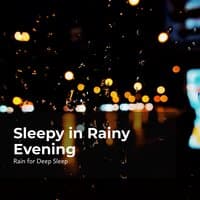 Sleepy in Rainy Evening