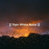 Rain White Noise