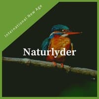 Naturlyder - Rolig new age-musikk