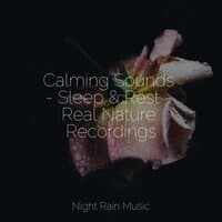 Calming Sounds - Sleep & Rest - Real Nature Recordings